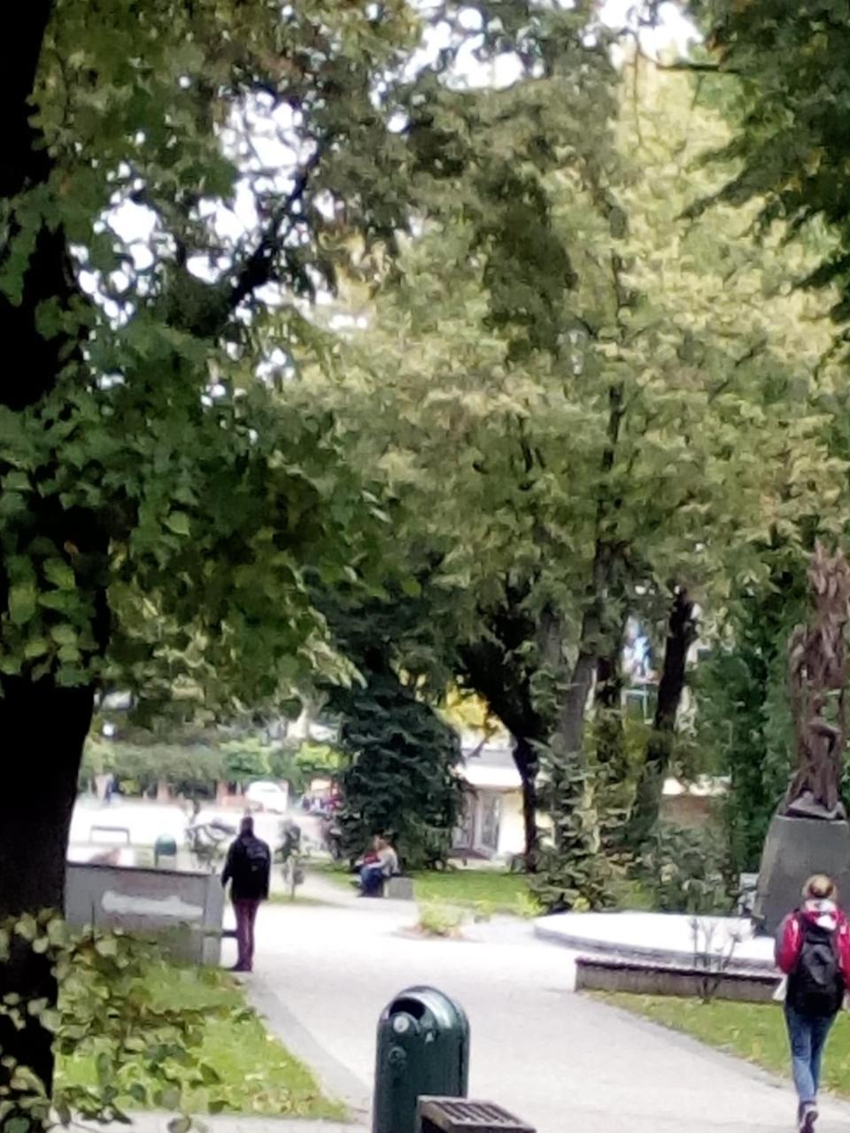 1 Ком Апартаменты На Олены Степанивны ,Парковка Lwów Zewnętrze zdjęcie